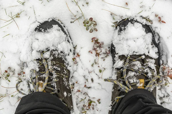 Ein Spaziergang Durch Den Neuschnee Nähern Sie Sich Schuhen Schnee — Stockfoto