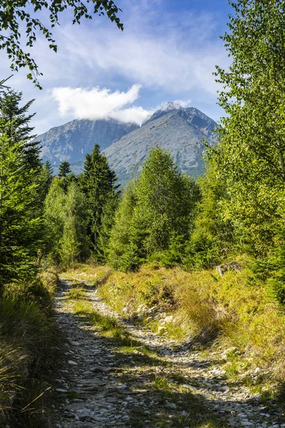 Weg Door Een Jong Bos Achtergrond Bergtoppen Waarboven Wolken Kolken — Stockfoto