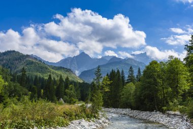 Doğal yaz dağ manzarası, vadideki ormanın içinden akan nehir..
