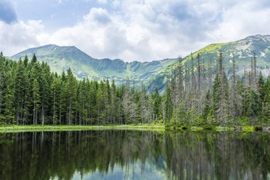 Batı Tatras 'taki göletin doğal çevresi (Smreczynski Staw).