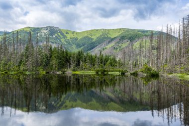 Doğal ormanın ve yakınlardaki sırtın sularının göl yüzeyindeki yansıması. Smreczynski Stadyumu, Batı Tatrs, Polonya. Koscieliska Vadisi 'nden popüler bir patika göle çıkıyor.