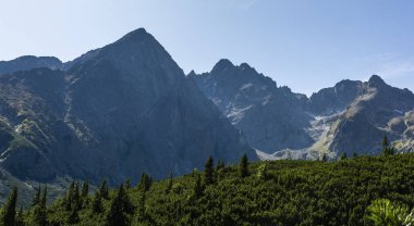 Dağ vadisini çevreleyen tepeler. Yaz manzaralı dağ manzarası. Tatra Dağları, Slovakya.