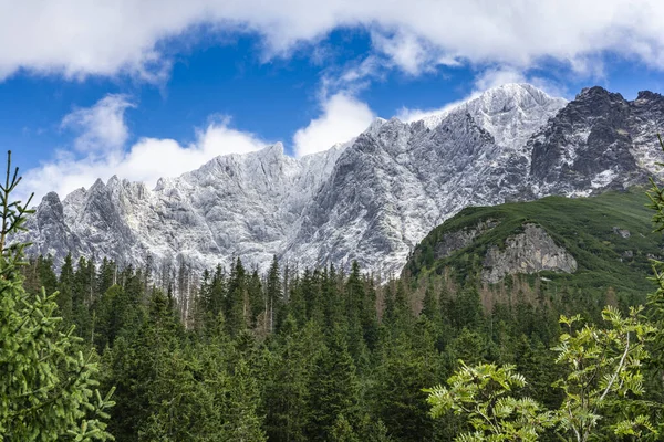 Magnifique Paysage Montagne Forêt Verte Dans Vallée Murs Blancs Des — Photo