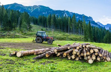 Lysa Polana, Slovakya - 16 Eylül 2019: Traktör (Zetor 7245) kesilen ağaçları (kütükleri) dağ yamaçlarından vadiye çekmek için kerestecilere hizmet veren bir açıklıkta duruyor.