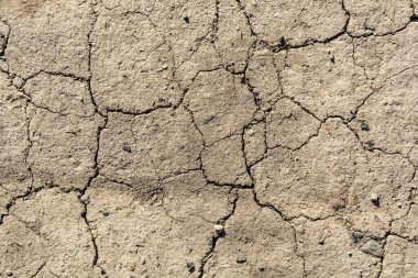 İklim değişiklikleri. Kuru toprakta kasılma çatlakları var. Kuraklığın neden olduğu doğal bir felaket..