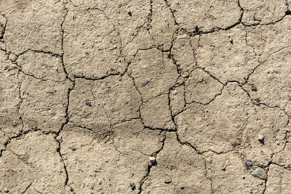 Climate changes. Contraction cracks in dry earth. A natural disaster caused by drought.