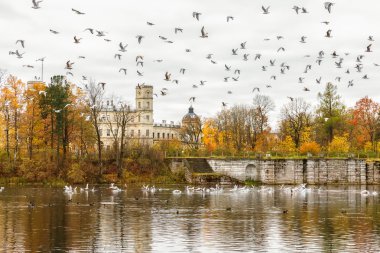 Sonbahar, St. Petersburg banliyösünde büyük Gatchina sarayda
