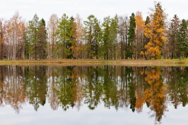 Autumn landscape with the lake and bridge — Stock Photo, Image