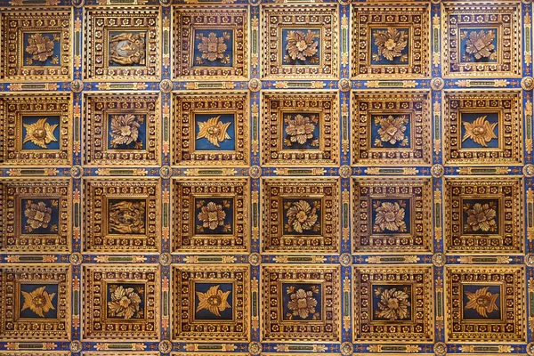 Ceiling Katedral Primaziale — Stok Foto