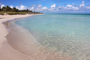 Mavi ve turkuaz okyanus, gökyüzü ve çalılar ile kum sahil.