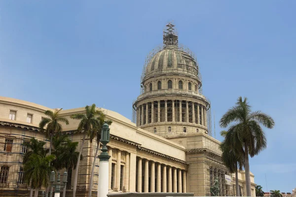Capitol rekonstrukce a palm v centru Havany. — Stock fotografie