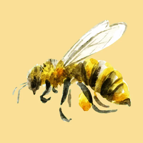 Acuarela mano abeja dibujada — Vector de stock