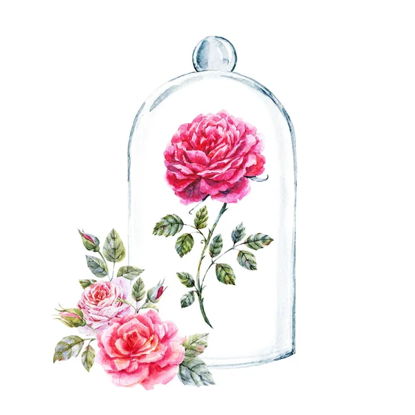 Rose in a glass case — Stock Photo, Image