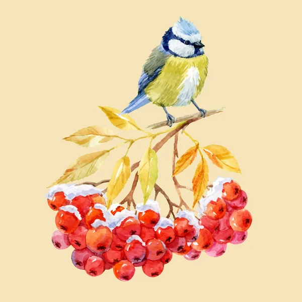 Burung titmouse dan ashberry Grafik Vektor