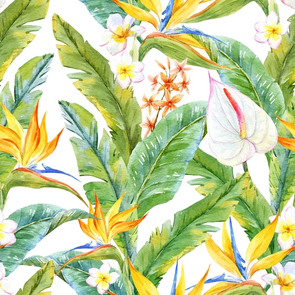 Tropical watercolor pattern — Stock Photo, Image