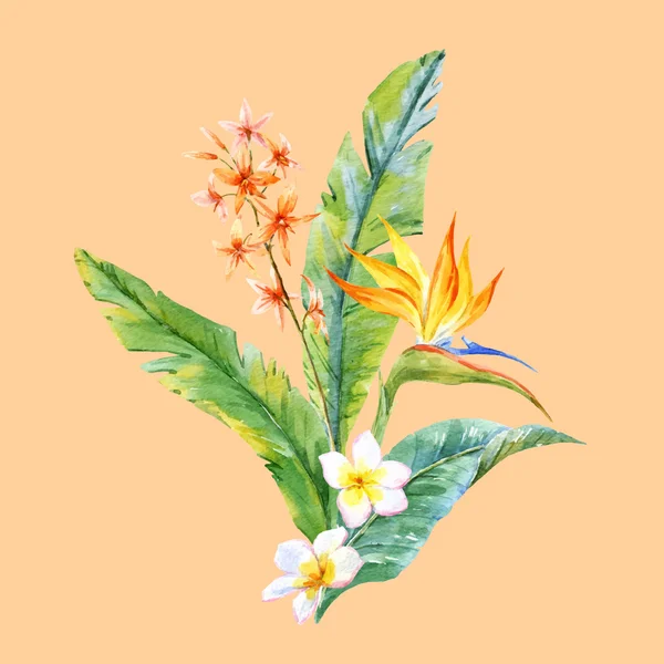 Aquarelle composition tropicale — Image vectorielle