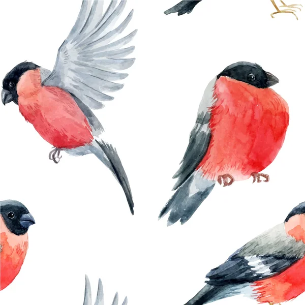 Acquerello modello uccello bullfinch — Vettoriale Stock