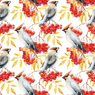 Suluboya İpekkuyruk ve rowan desen