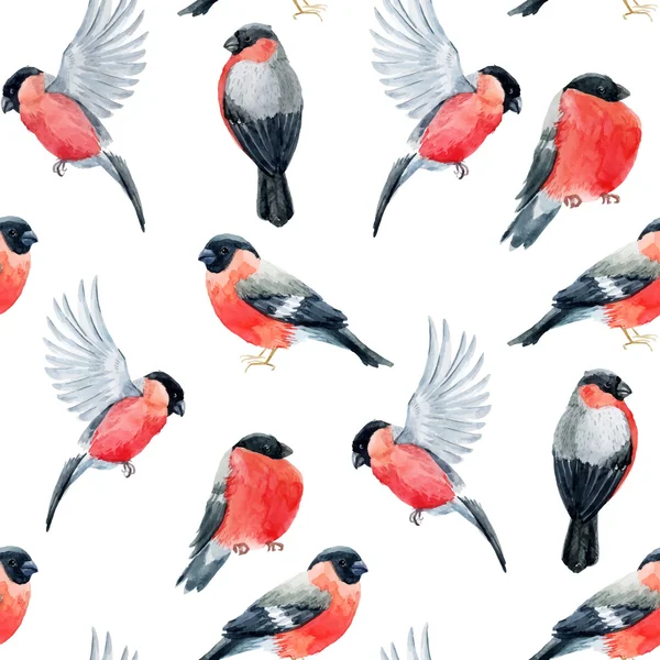 Akvarell domherre fågel mönster — Stock vektor