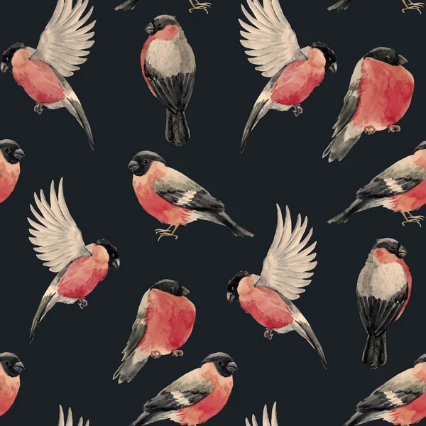 Akvarell domherre fågel mönster — Stock vektor