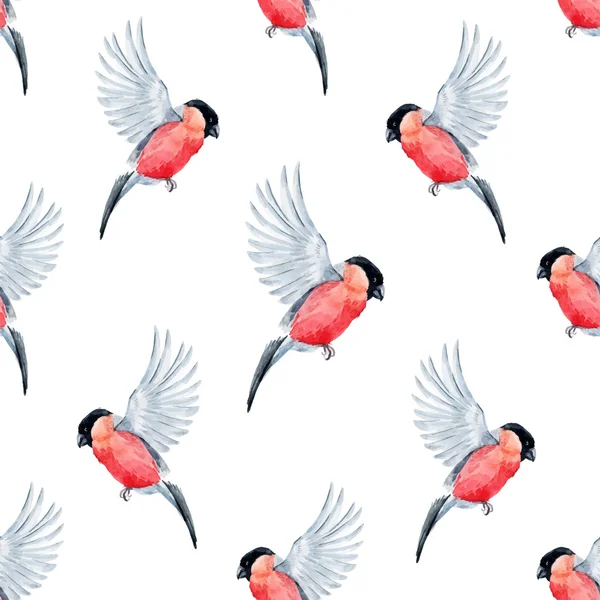 Acquerello modello uccello bullfinch — Vettoriale Stock