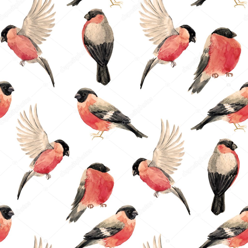 Watercolor bullfinch bird pattern