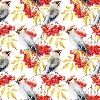 Suluboya İpekkuyruk ve rowan desen