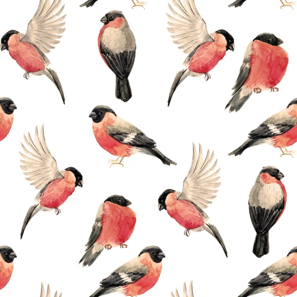 Watercolor bullfinch bird pattern — Stock Image Watercolor bullfinch bird pattern Stock Photo