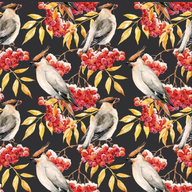 Suluboya İpekkuyruk ve rowan desen