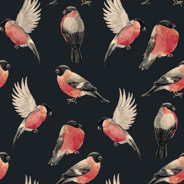Watercolor bullfinch bird pattern — Stock Photo, Image