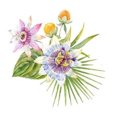 Suluboya tropikal buket