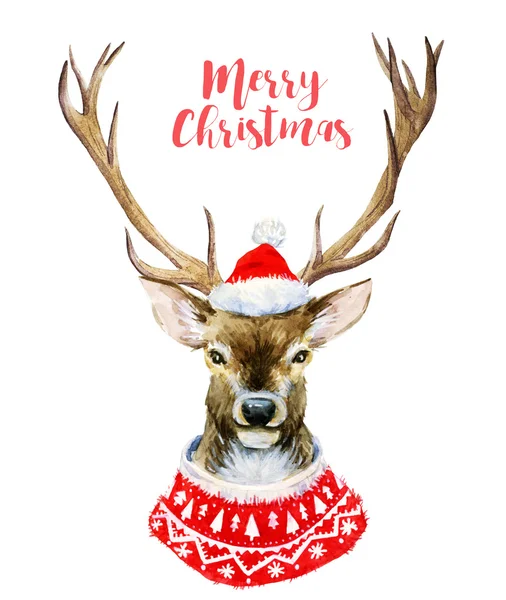 Watercolor christmas deer — Stock Photo, Image