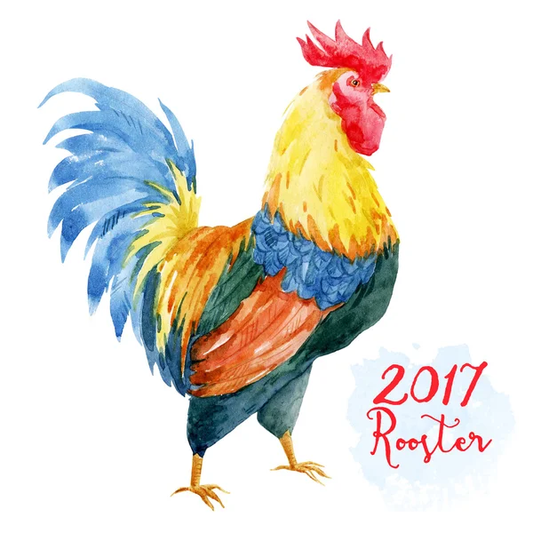 Watercolor cock rooster — Stock Photo, Image