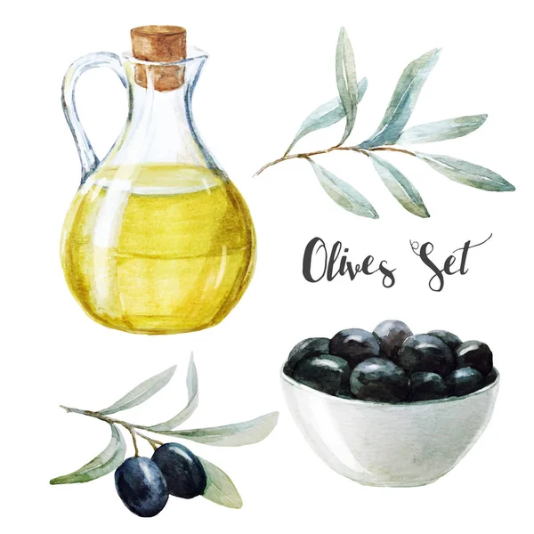 Watercolor olives and olive oil — Stock Vector