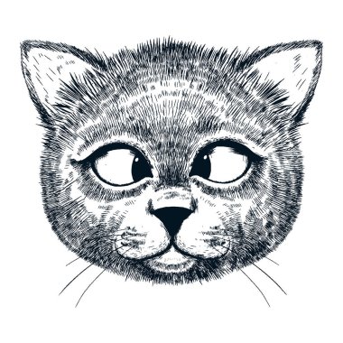 sevimli kedi illüstrasyon