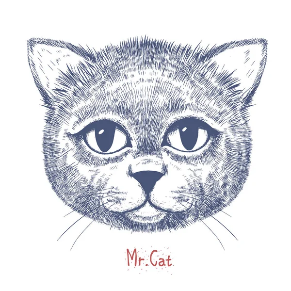 Χαριτωμένο γάτα εικονογράφηση — Διανυσματικό Αρχείο