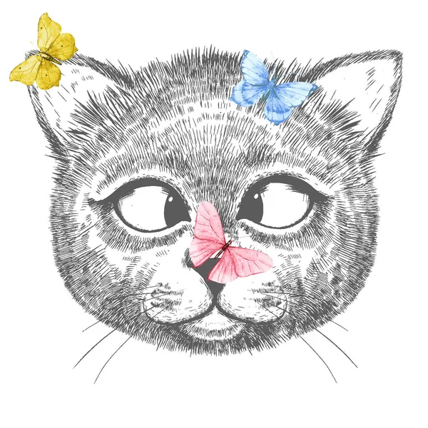 Χαριτωμένο γάτα εικονογράφηση — Διανυσματικό Αρχείο