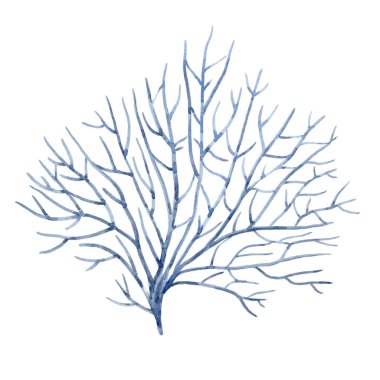 Suluboya sualtı mercan