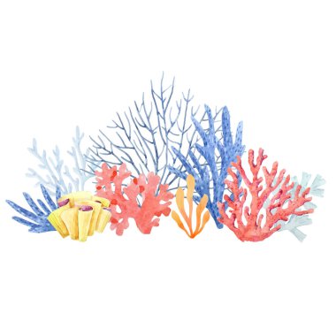 Suluboya mercan kompozisyon