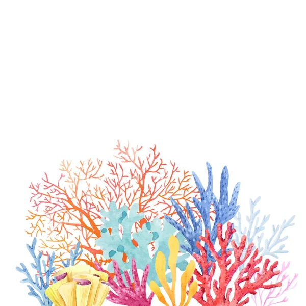 수채화 산호 구성 — 스톡 벡터