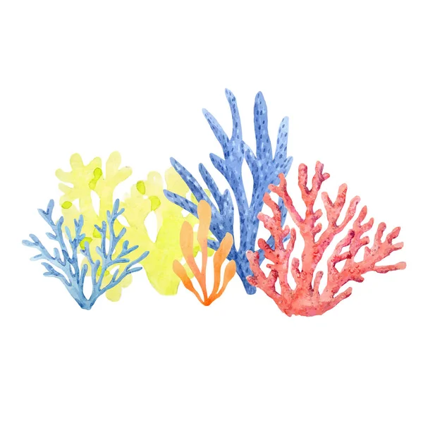 Komposisi koral warna air - Stok Vektor
