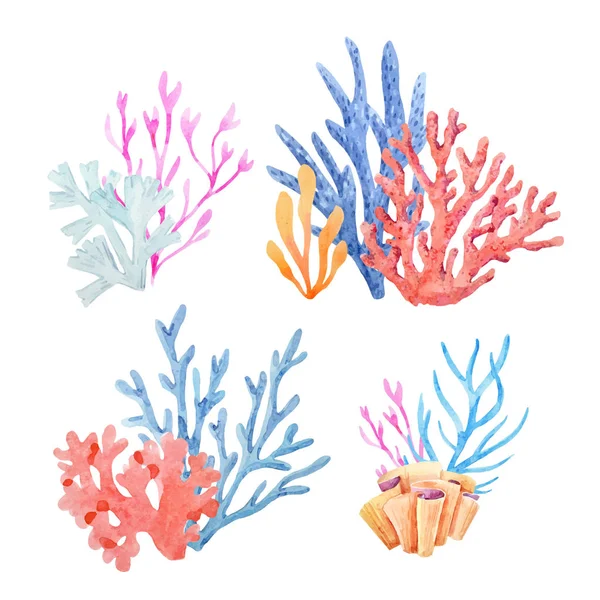 Watercolor vector underwater corals — Stock Vector