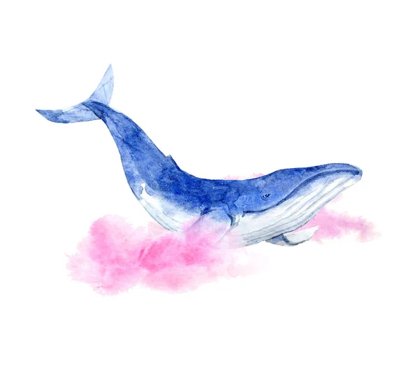 Balena azzurra acquerello — Foto Stock