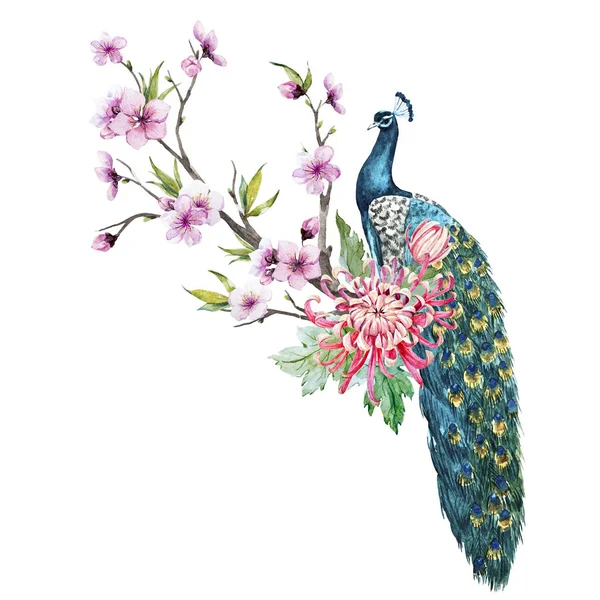 Watercolor peacock with flowers — Stock Photo, Image