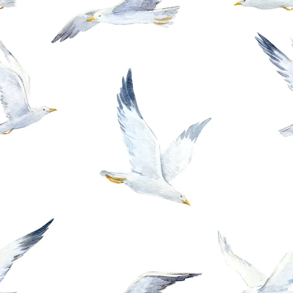 Aquarelle motif mouette — Photo