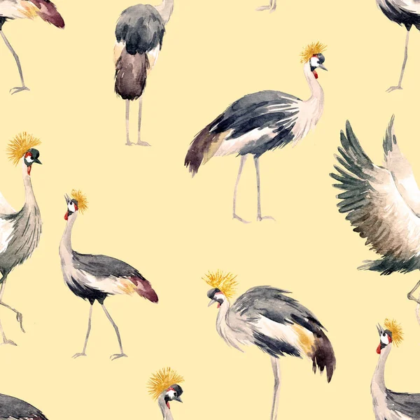 Watercolor african crane pattern — Stock Photo, Image