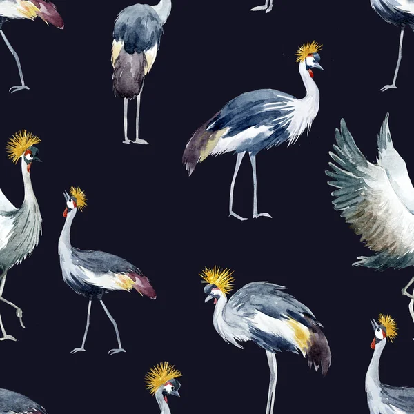 Watercolor african crane pattern — Stock Photo, Image