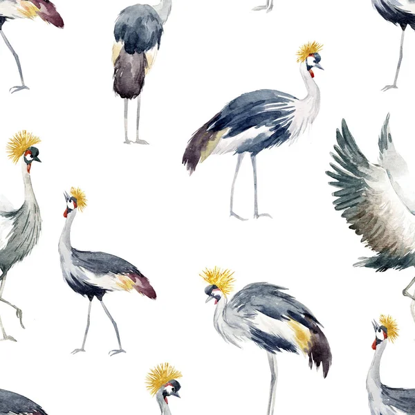 Watercolor african crane pattern — Stock Photo, Image