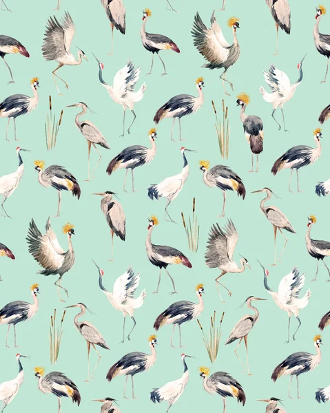 Watercolor african crane pattern — Stock Photo, Image