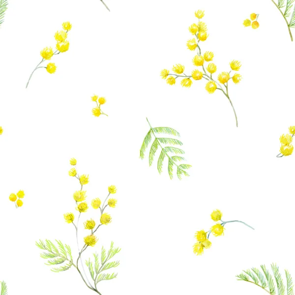 Aquarelle motif vectoriel mimosa — Image vectorielle